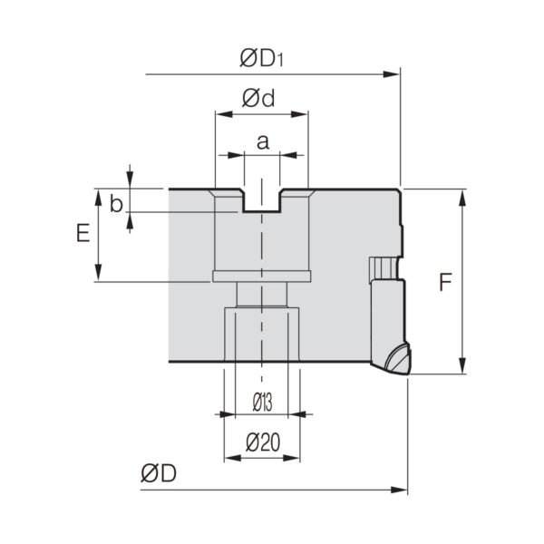 APDM 080R-PB8Z feltűzhető síkmaró