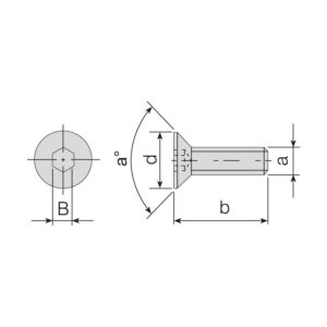 AKV-12-M5X12 Csavar