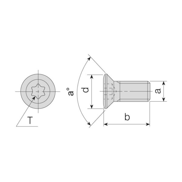 1008-M3X6 Csavar